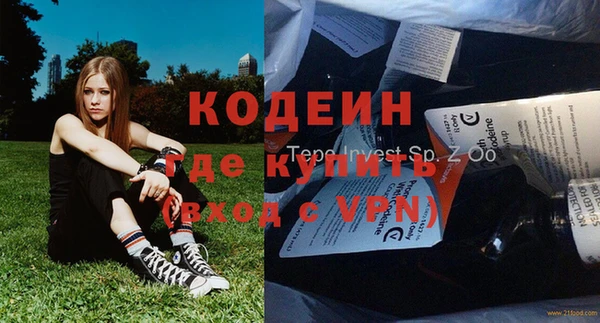 мет Алексин