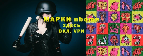 мет Алексин