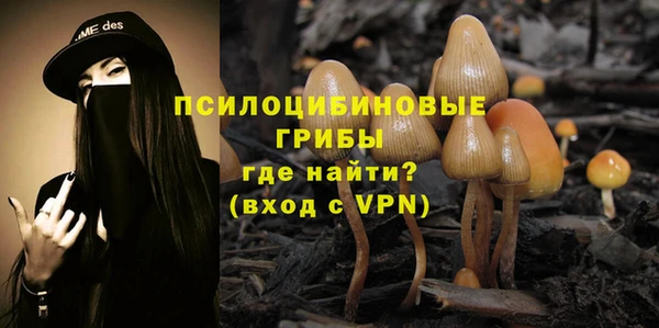 мет Алексин