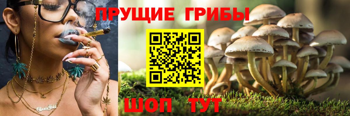 A-PVP  Кокаин  КОКАИН  Еманжелинск  MDMA  Гашик  CBD масло  Вход с VPN  Бошки Шишки  Метамфетамин  Мяу-Мяу 